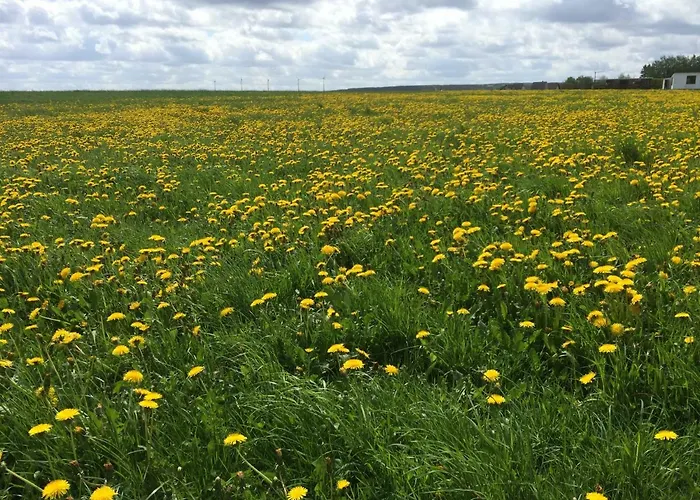 Grimmershof Prázdninový dům *
